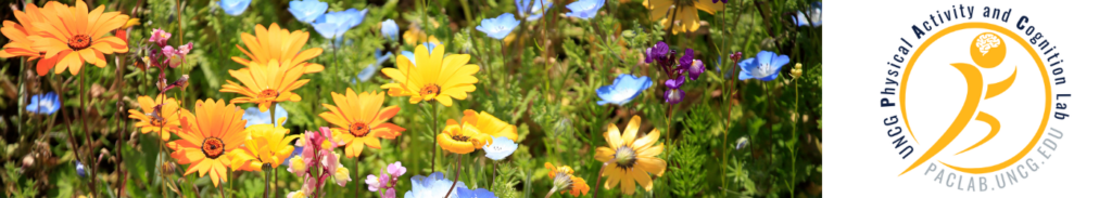 Spring Flowers