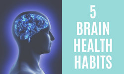 Brain Habits Featured Image