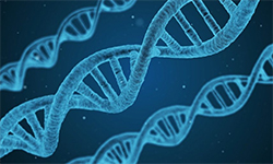 Genetic Featured Image