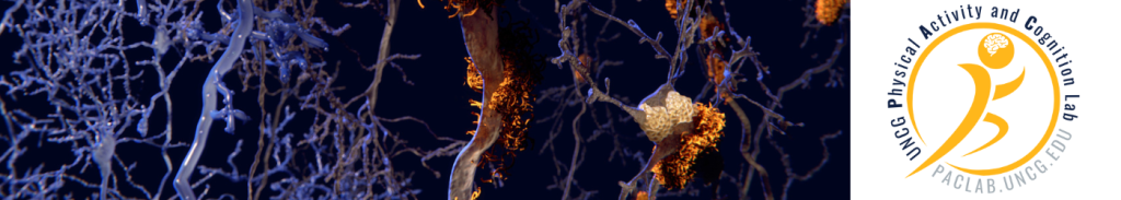 illustration of plaques and tangles